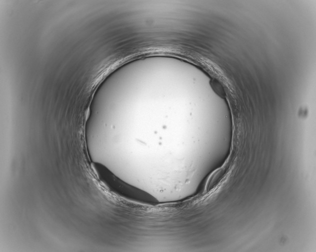 X0000093360985200711011204