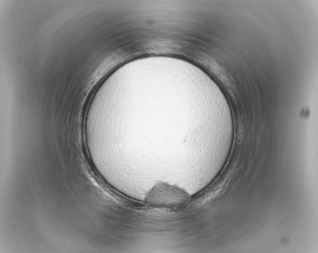 X0000093360986200711011204