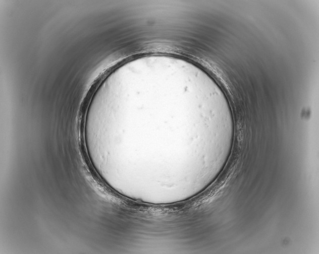 X0000093360987200711011204