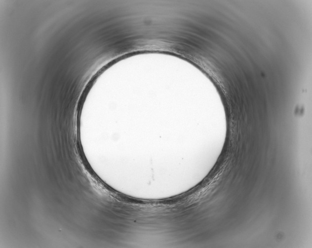 X0000093360988200711011204