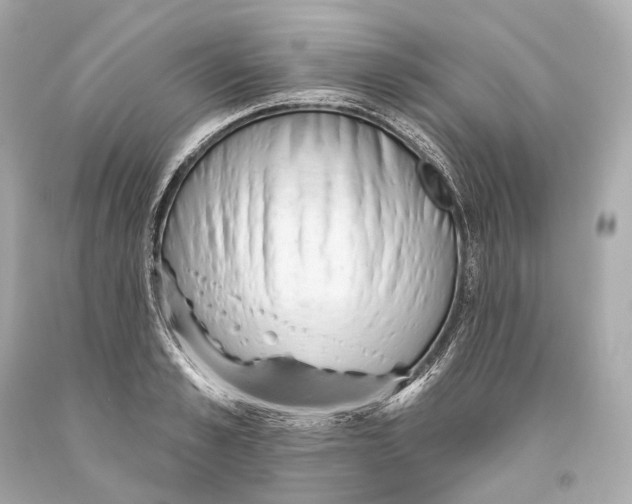 X0000093360989200711011204