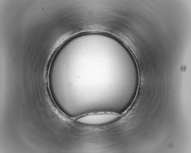 X0000093360990200711011204