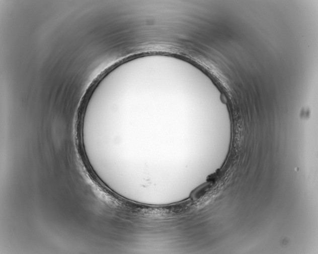 X0000093360991200711011204