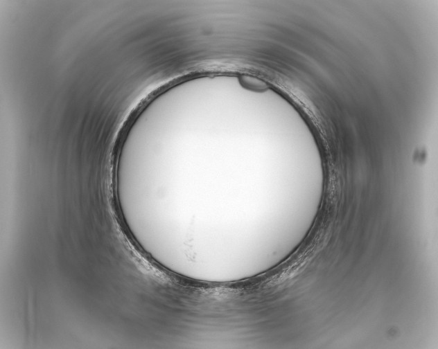 X0000093360992200711011204