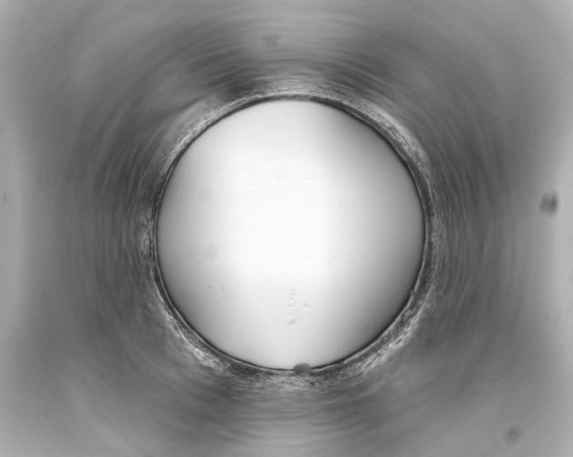 X0000093360993200711011204