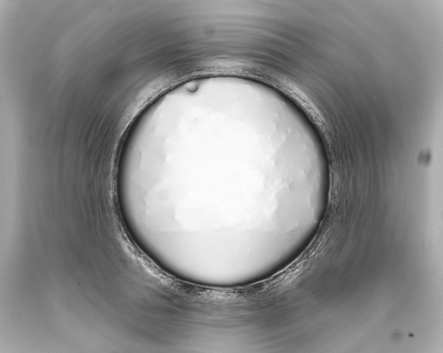 X0000093360994200711011204