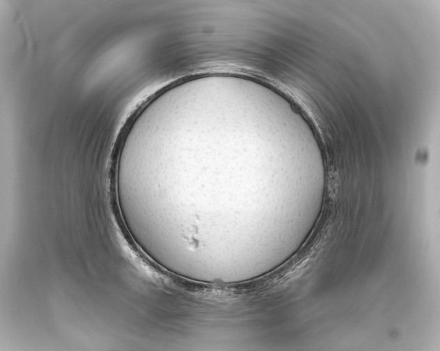 X0000093360995200711011204