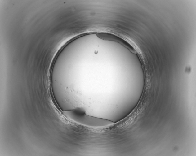 X0000093360996200711011204