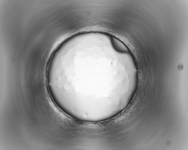 X0000093360998200711011204