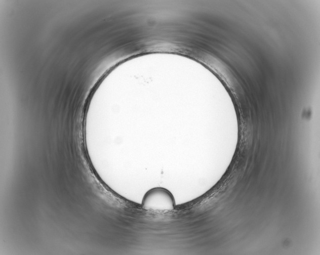 X0000093361000200711011204