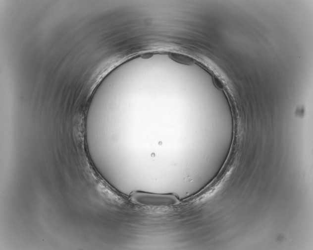 X0000093361001200711011204