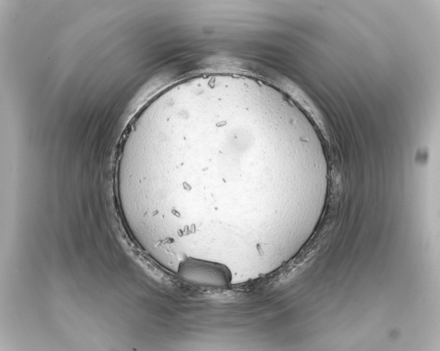 X0000093361002200711011204