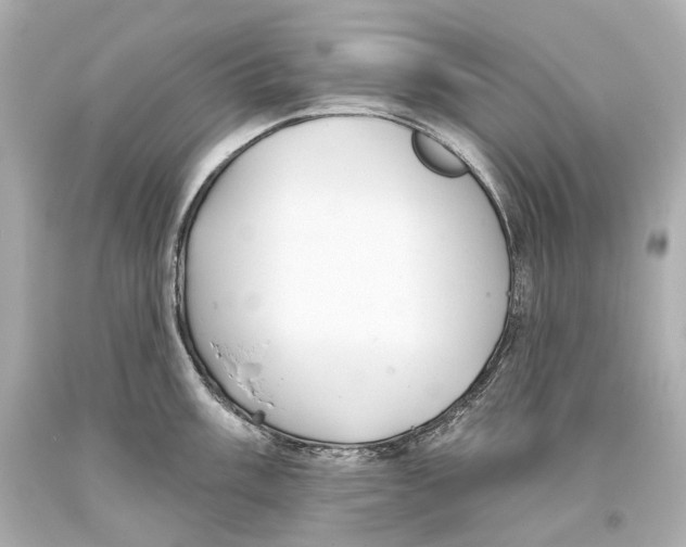 X0000093361003200711011203