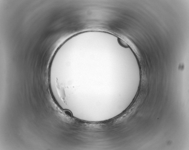 X0000093361004200711011203