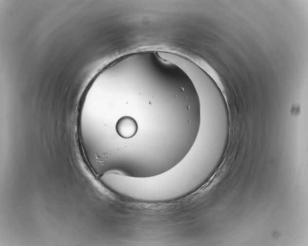 X0000093361005200711011203