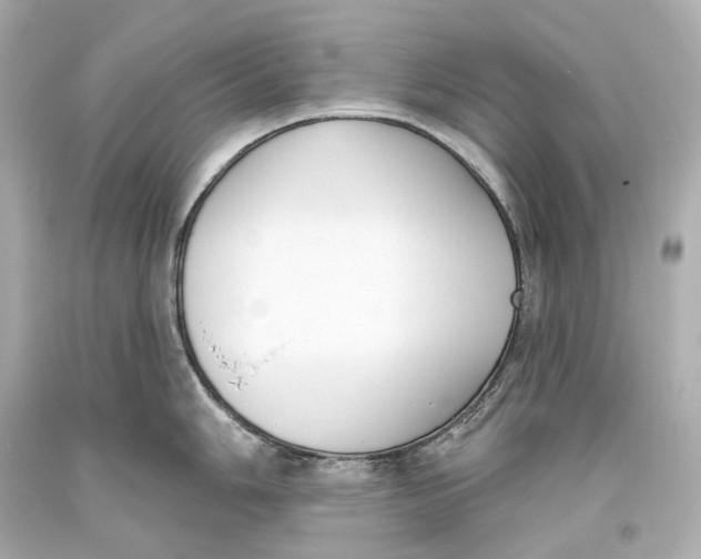 X0000093361006200711011203