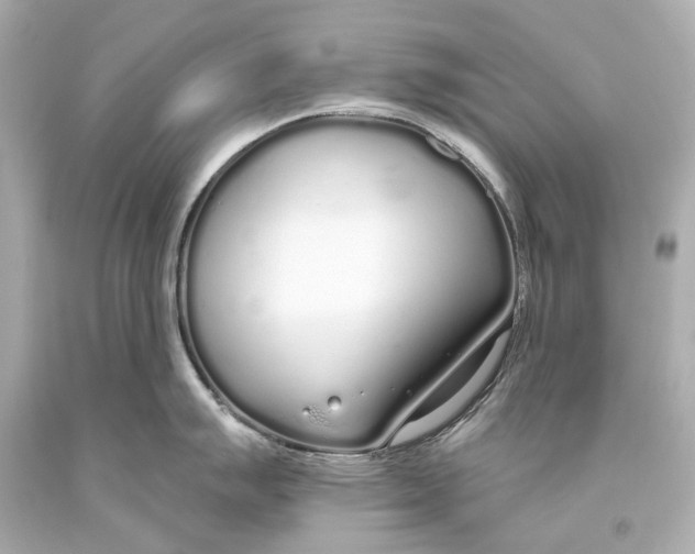 X0000093361007200711011203