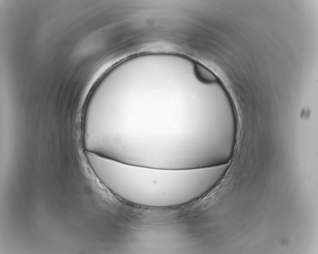 X0000093361008200711011203