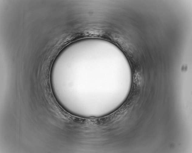 X0000093361009200711011203