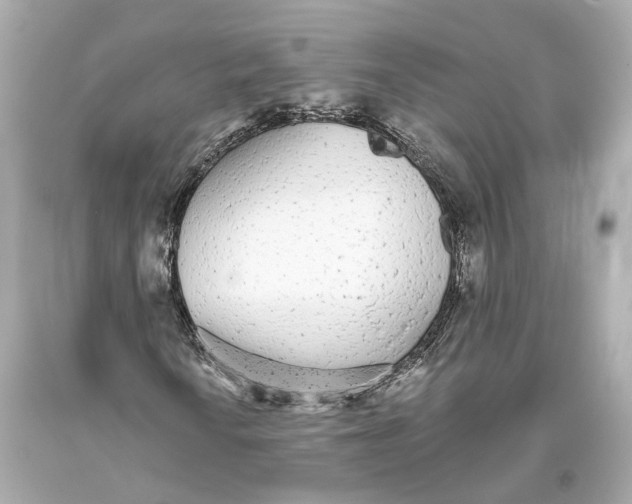 X0000093361010200711011203