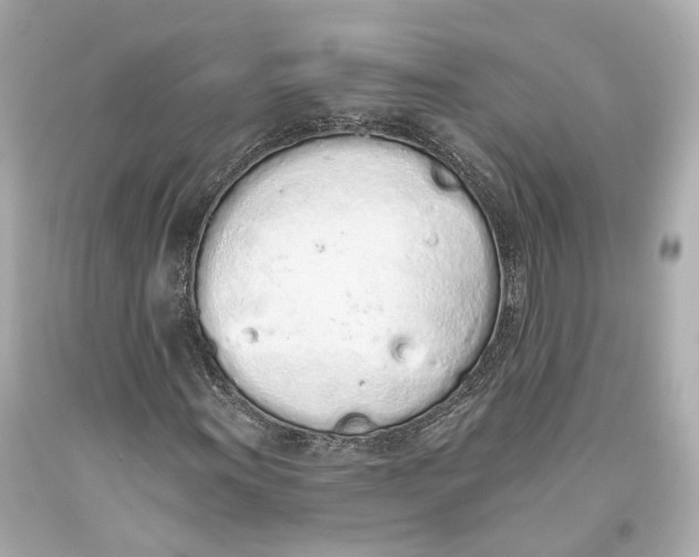 X0000093361011200711011203