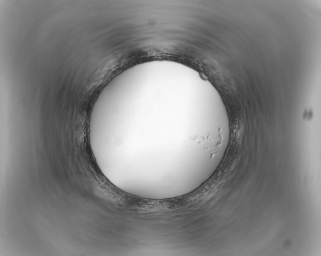 X0000093361012200711011203