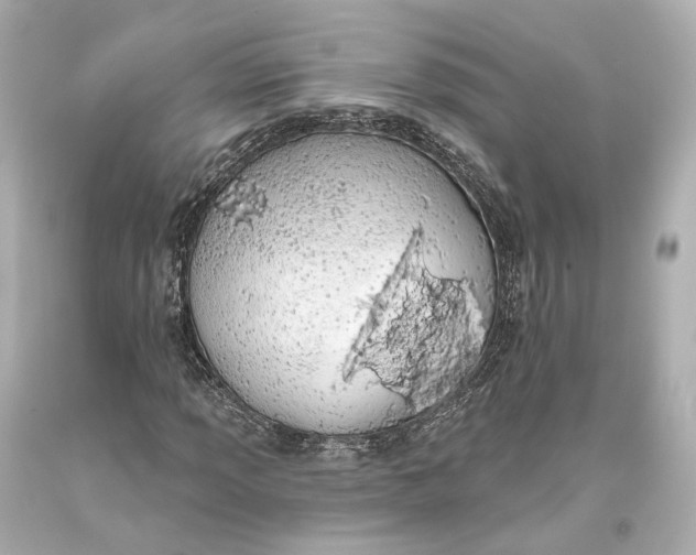 X0000093361013200711011203