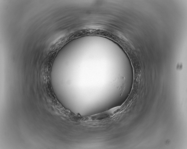 X0000093361014200711011203