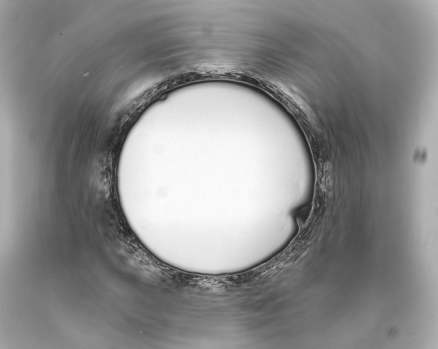 X0000093361015200711011203