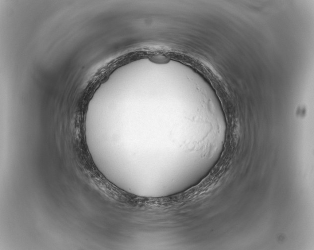 X0000093361016200711011203