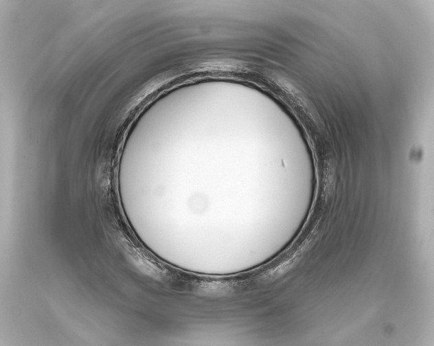 X0000093361017200711011203