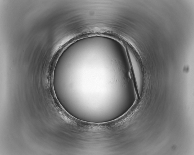 X0000093361018200711011203