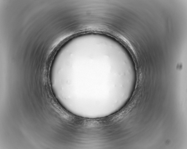 X0000093361019200711011203