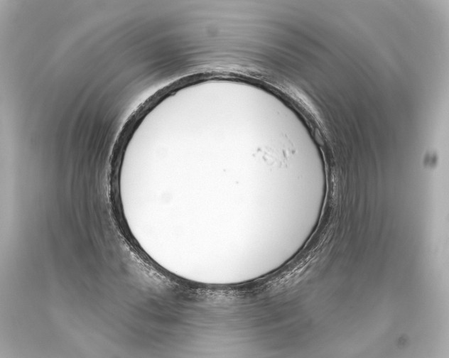 X0000093361020200711011203