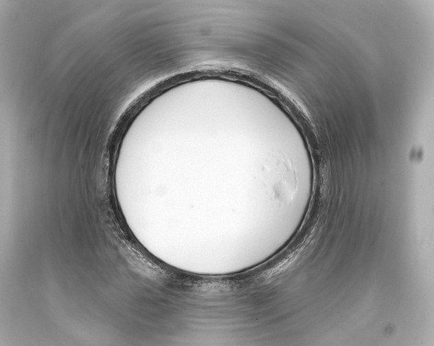 X0000093361021200711011203