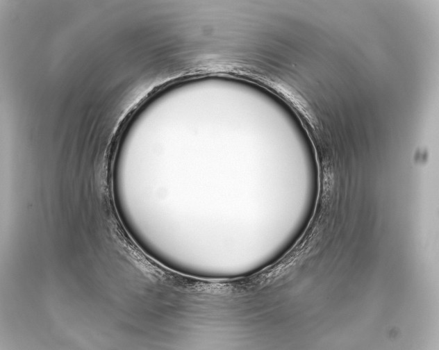 X0000093361023200711011203