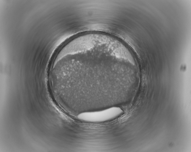 X0000093361024200711011203