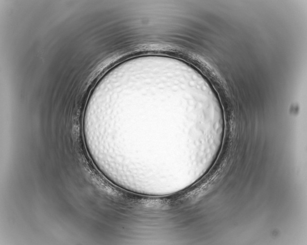 X0000093361025200711011203