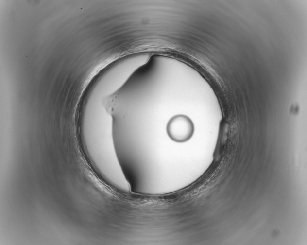 X0000093361026200711011203