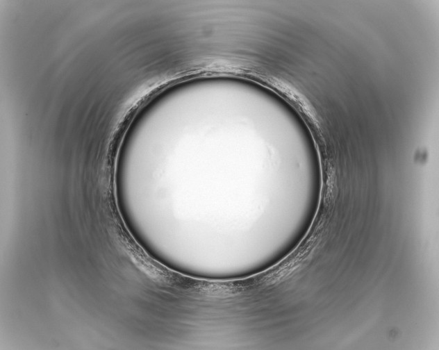 X0000093361027200711011203