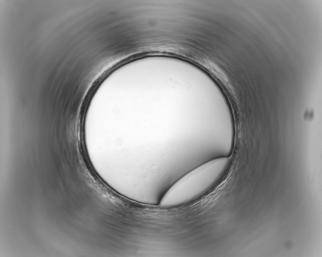 X0000093361028200711011203