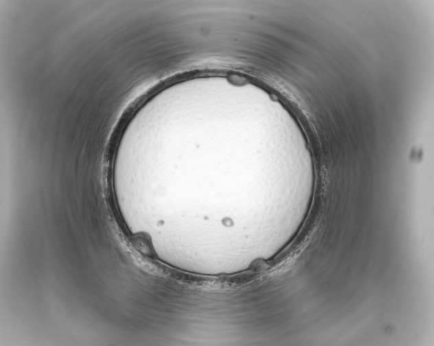 X0000093361029200711011203