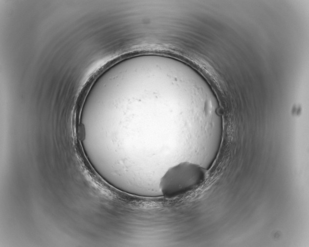 X0000093361030200711011203