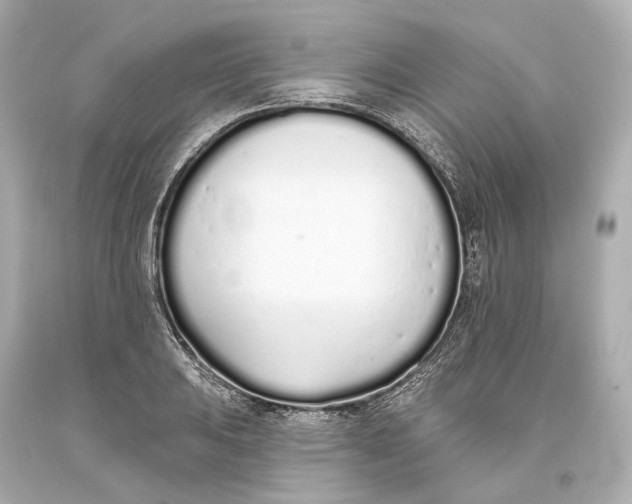 X0000093361031200711011203