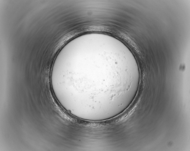 X0000093361033200711011203