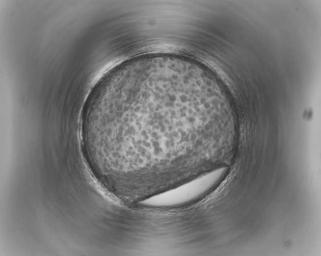 X0000093361034200711011203