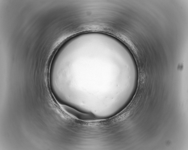 X0000093361035200711011203