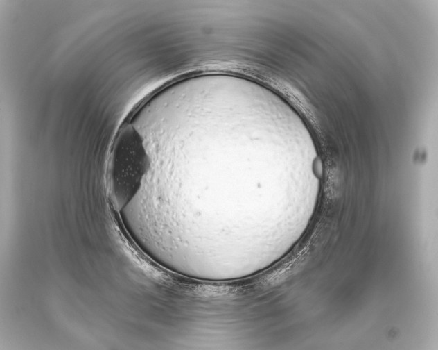 X0000093361036200711011203