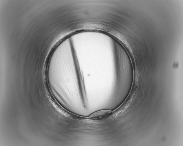 X0000093361037200711011203