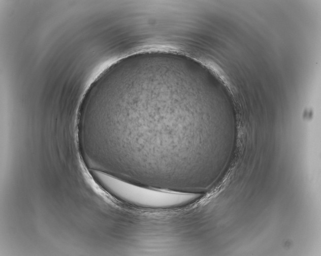 X0000093361038200711011203